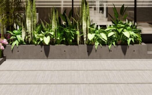 𝐀𝐊𝐒𝐇𝐀𝐘𝐀 𝐂𝐇𝐒